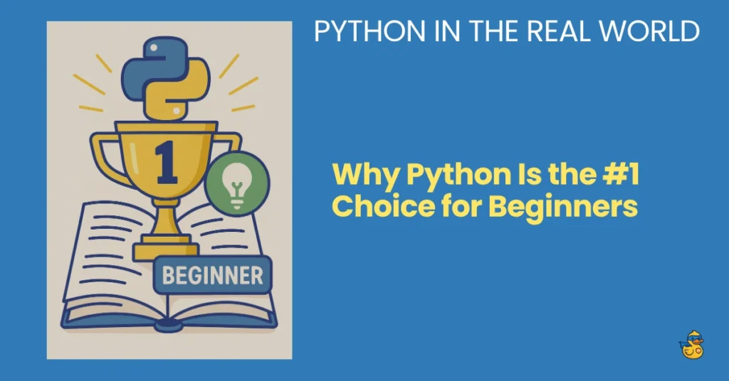 Python in the real world - Why Python Is the #1 Choice for Beginners - zerotopyhero.com your python go-to website